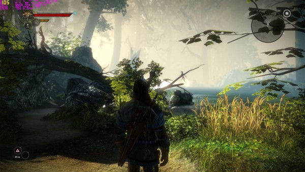 witcher2 2013-01-26 15-55-17-79.jpg